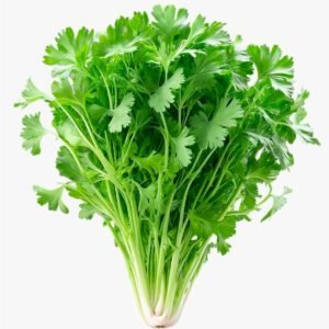Coriander / Kothamalli / கொத்தமல்லி