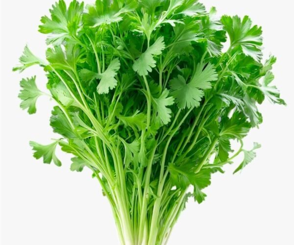 coriander coriander