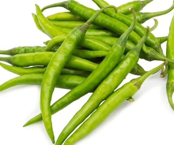 green chilli green chilli