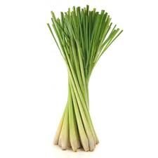 lemon grass lemon grass