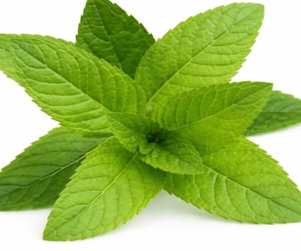 mint mint