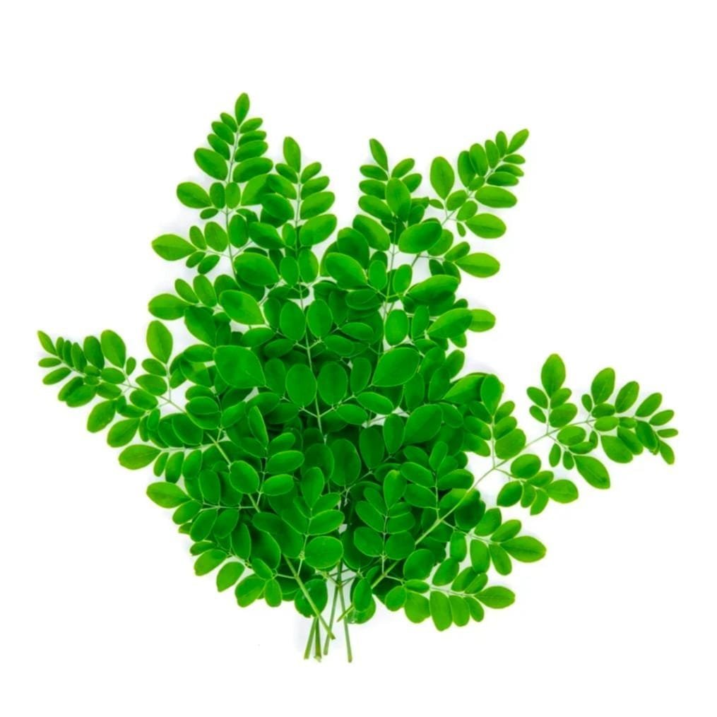 Murungai keerai / முருங்கக் கீரை
