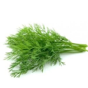 Dill Leaves / சோம்புக்கீரை