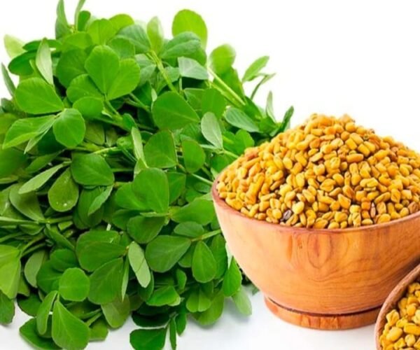 fenugreek leaves fenugreek leaves