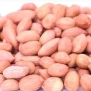 Peanut, Groundnut / நிலக்கடலை