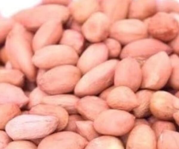ground nut ground nut