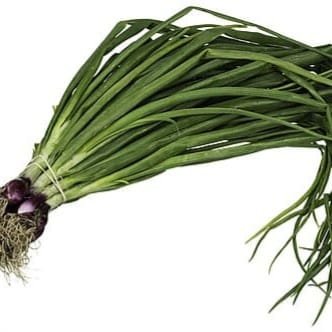 spring onion spring onion