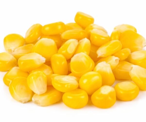 sweet corn sweet corn