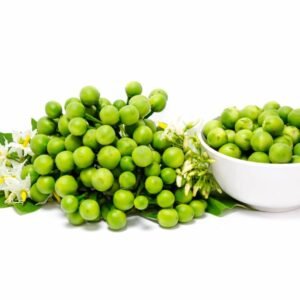 Turkey Berry / சுண்டைக்காய்