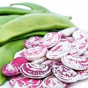 Double Beans/டபுள் பீன்ஸ்