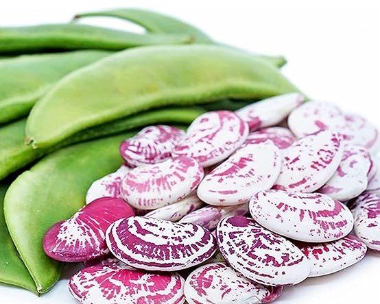 Double Beans/டபுள் பீன்ஸ்